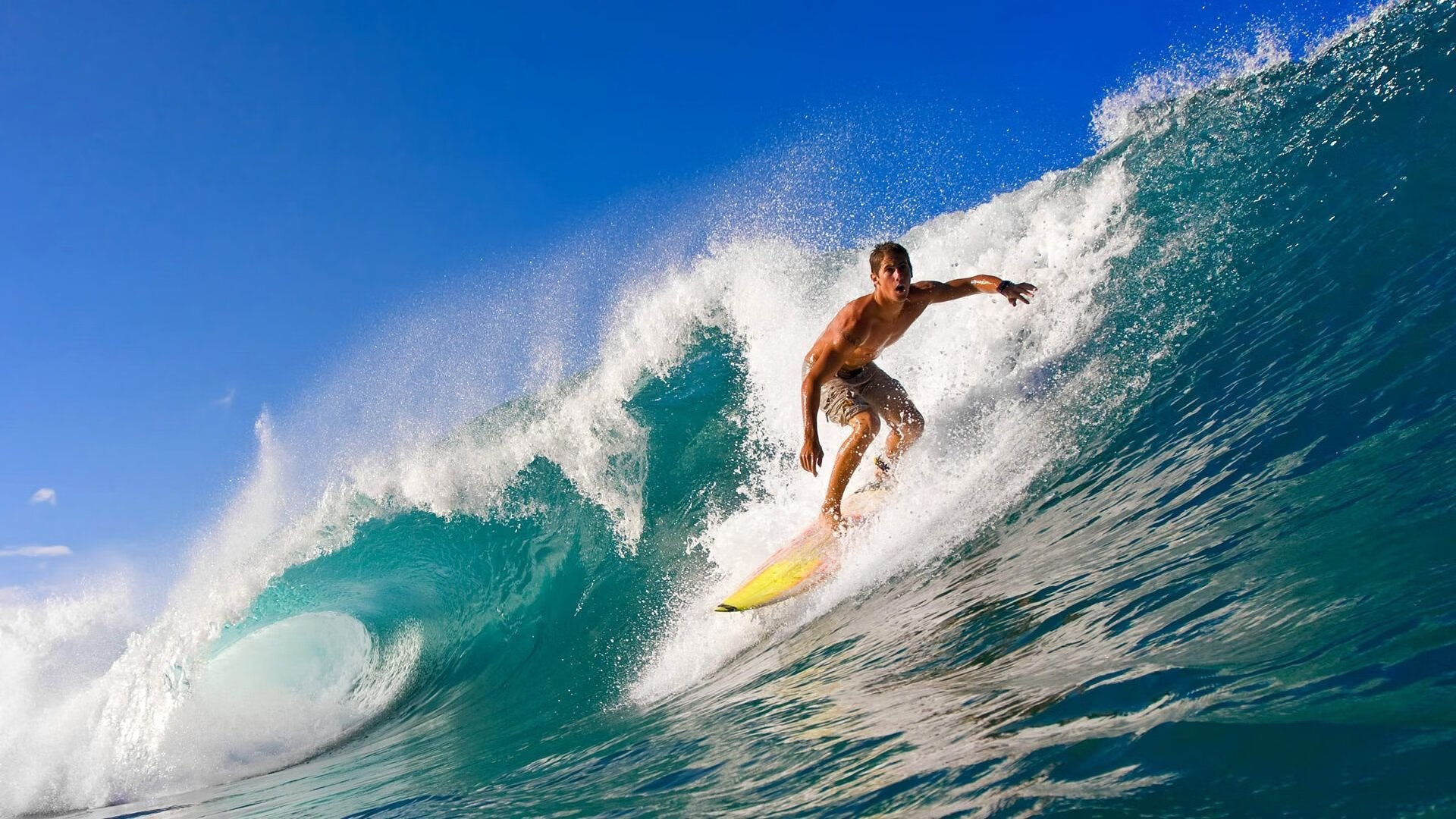 加拿大队赛制透视：团体赛中的人员分配与战术执行，加拿大队首发